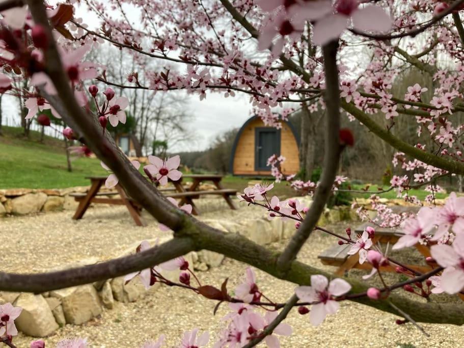 Suedois Cocooning Chazelles (Charente)